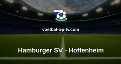 Bundesliga: Hamburger SV - Hoffenheim