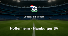 Bundesliga: Hoffenheim - Hamburger SV
