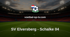 Bundesliga 2: SV Elversberg - Schalke 04