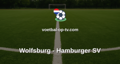 Bundesliga: Wolfsburg - Hamburger SV
